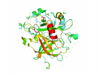 A80006, 80006, ABI3BP/ABI gene family member 3-binding protein